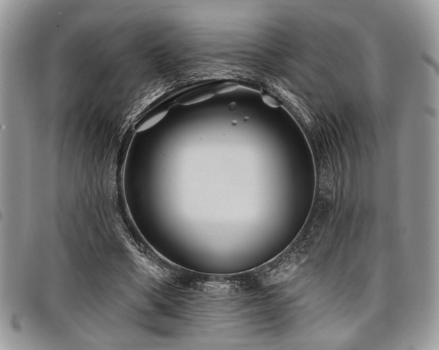 X0000098030394200803281413