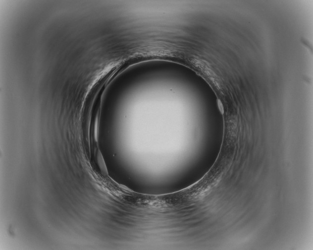 X0000098030395200803281413