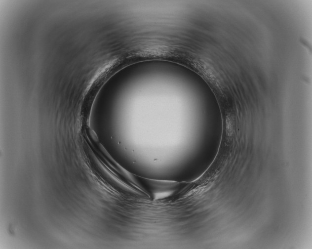 X0000098030396200803281413