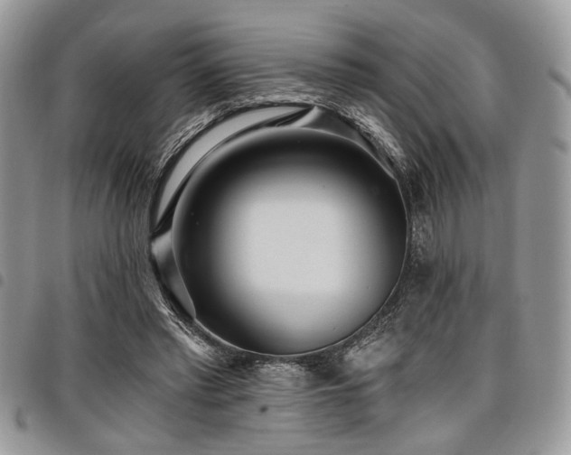 X0000098030397200803281413