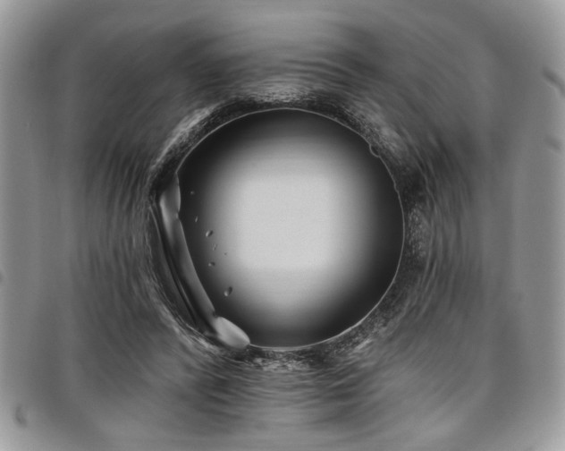 X0000098030400200803281413