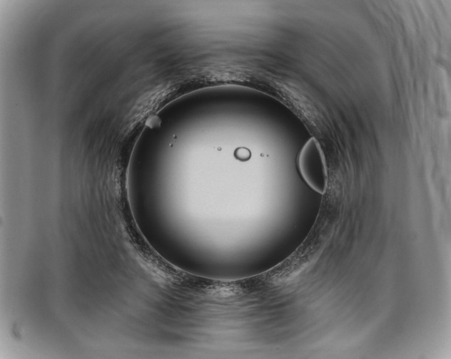 X0000098030402200803281413