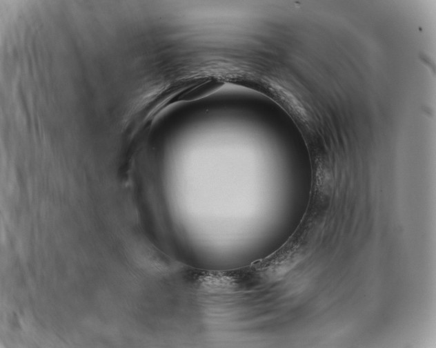 X0000098030403200803281413