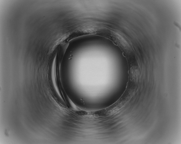 X0000098030404200803281413