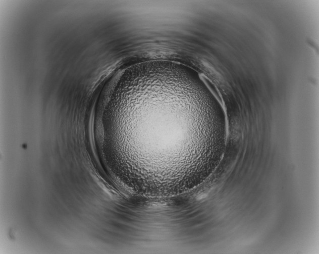 X0000098030405200803281413