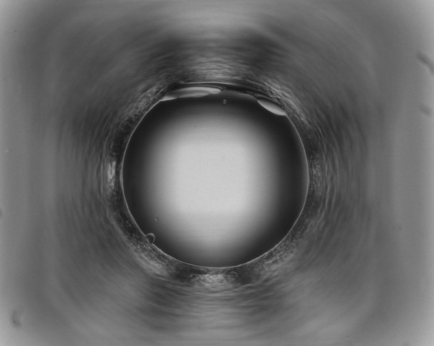 X0000098030406200803281413