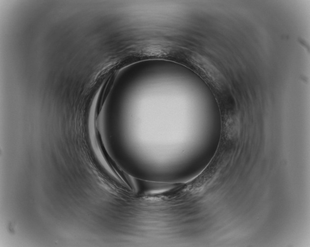 X0000098030407200803281413