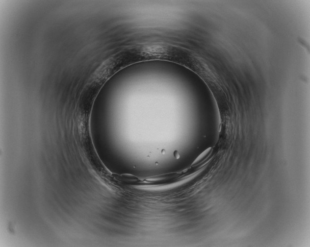 X0000098030408200803281413