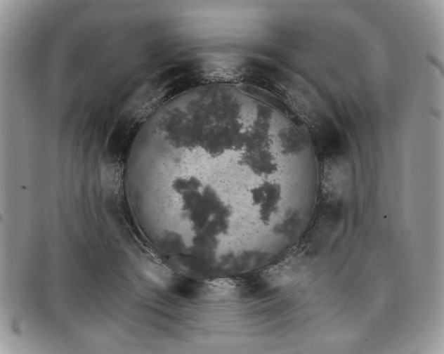 X0000098030409200803281413