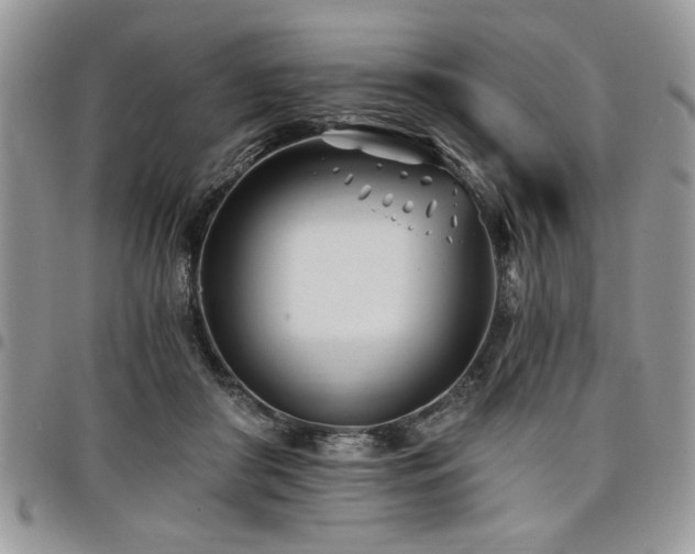 X0000098030410200803281413