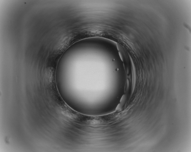 X0000098030412200803281413