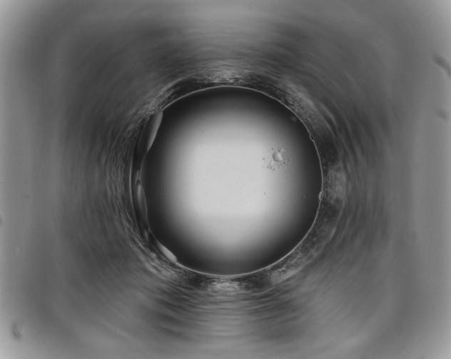 X0000098030413200803281413