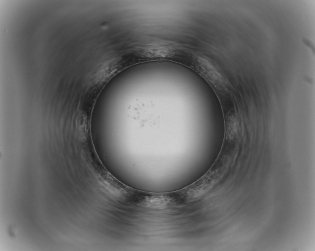 X0000098030414200803281413