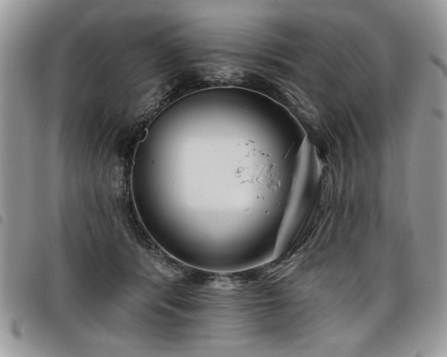 X0000098030416200803281413