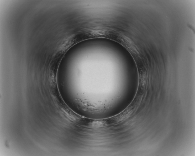 X0000098030418200803281413