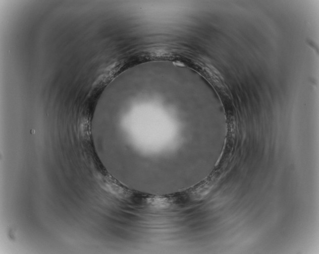 X0000098030419200803281413