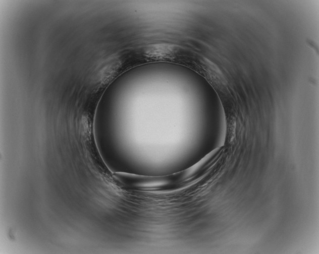 X0000098030420200803281413