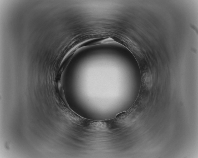 X0000098030421200803281413