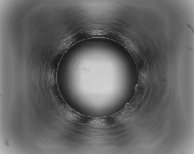 X0000098030422200803281413