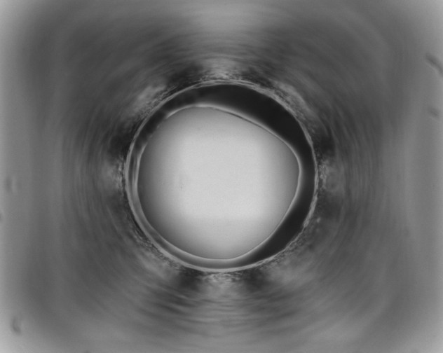 X0000098030423200803281413