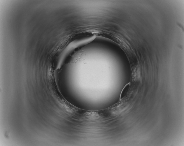 X0000098030424200803281413