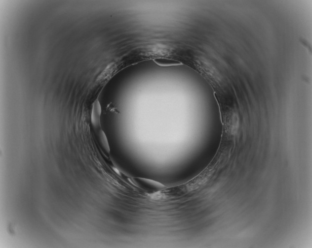 X0000098030425200803281413