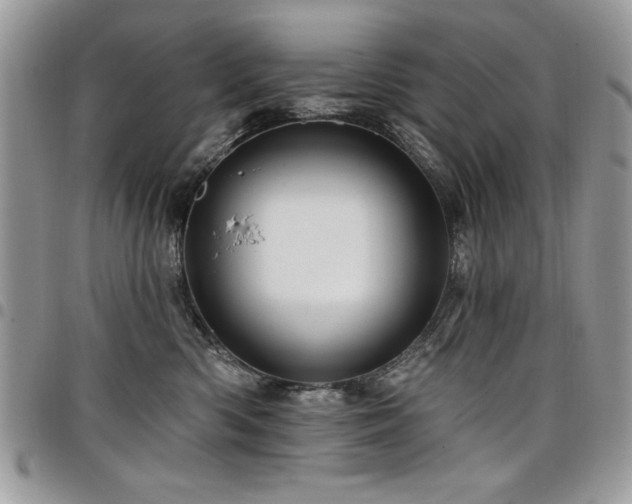 X0000098030426200803281413