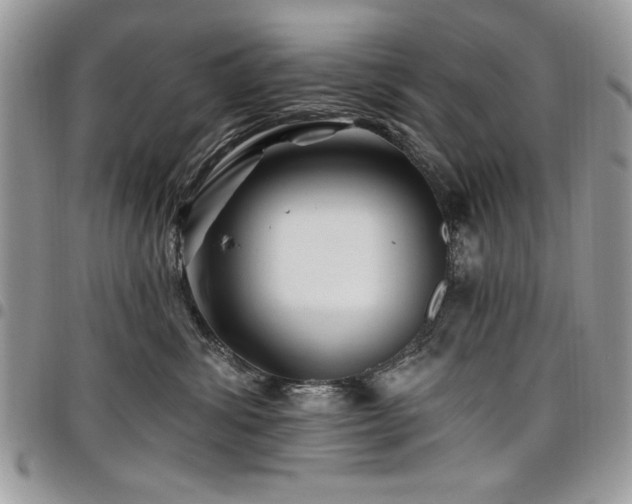 X0000098030428200803281413