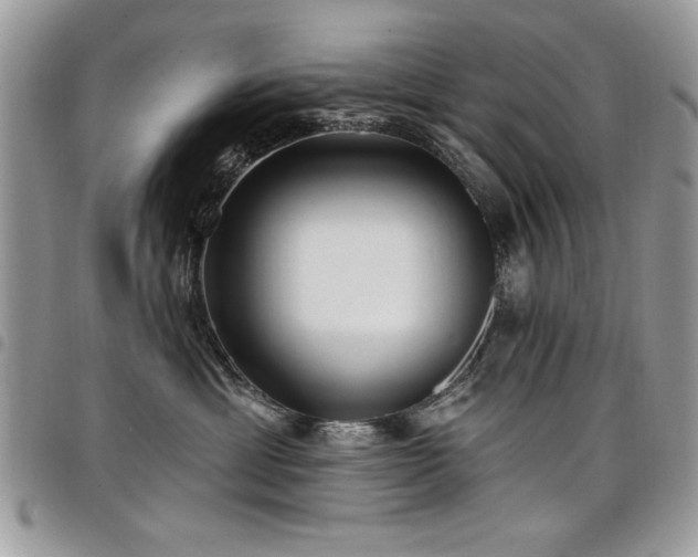 X0000098030429200803281413