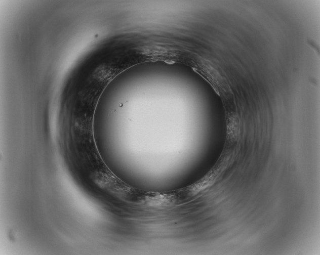 X0000098030430200803281413