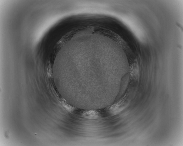 X0000098030431200803281413