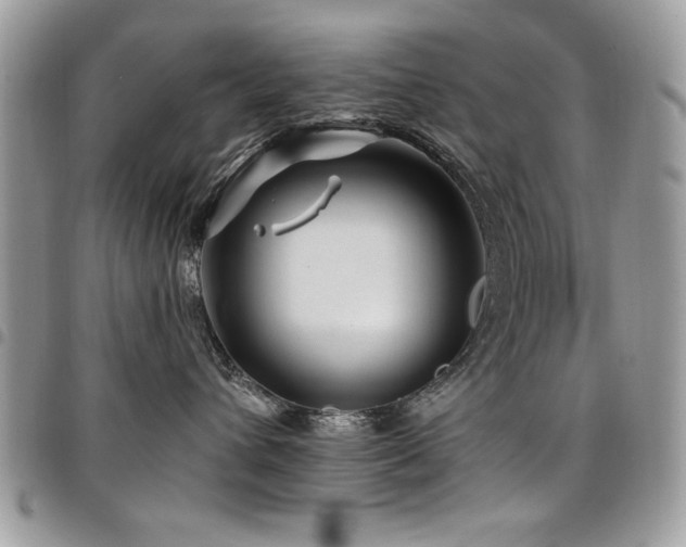 X0000098030432200803281413