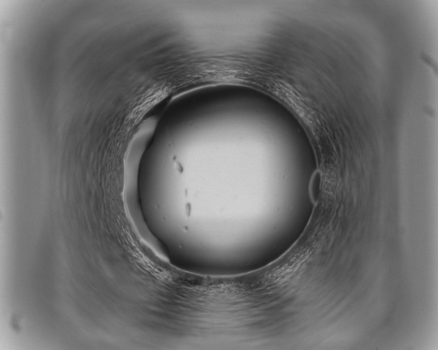 X0000098030433200803281412