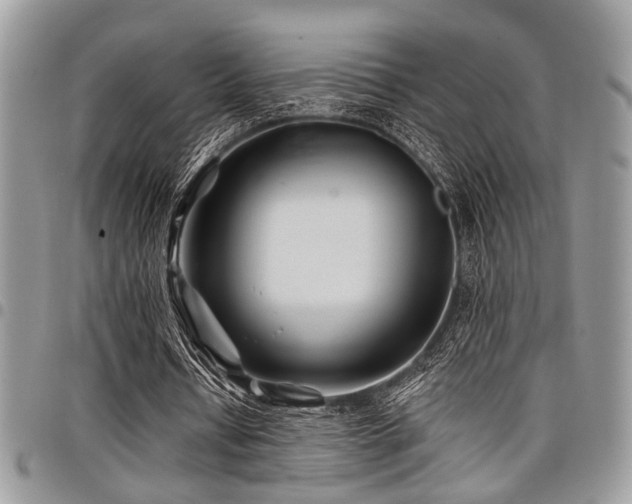 X0000098030434200803281412