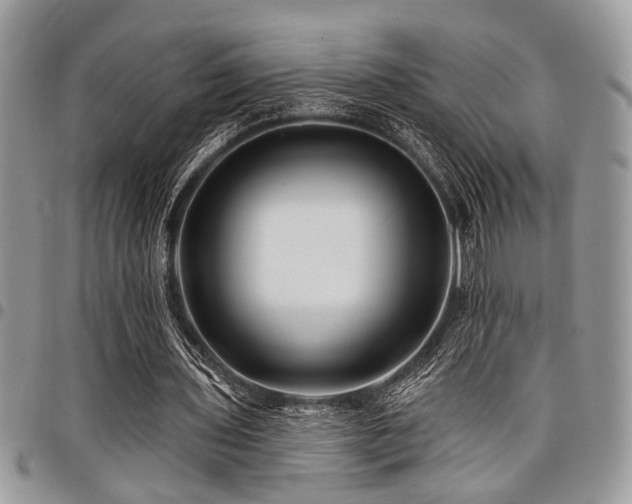 X0000098030435200803281412