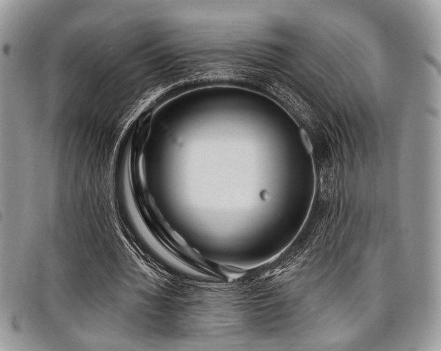 X0000098030436200803281412