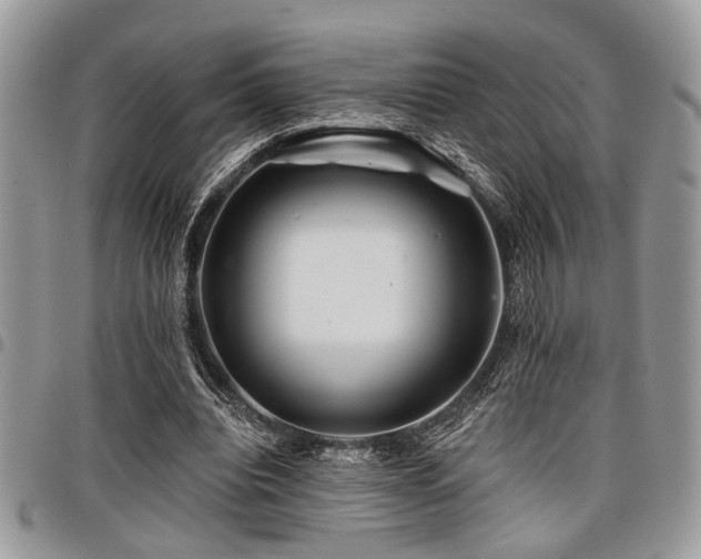 X0000098030440200803281412