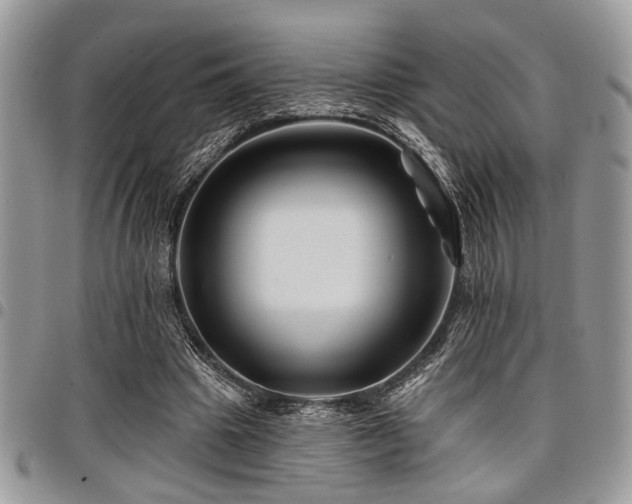 X0000098030441200803281412