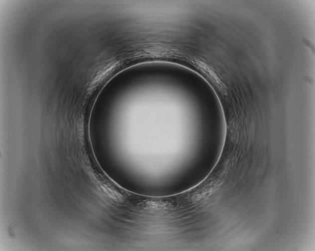 X0000098030442200803281412