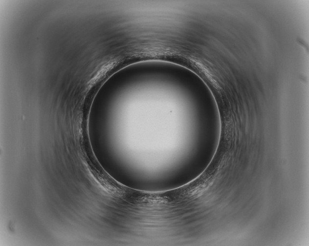 X0000098030443200803281412