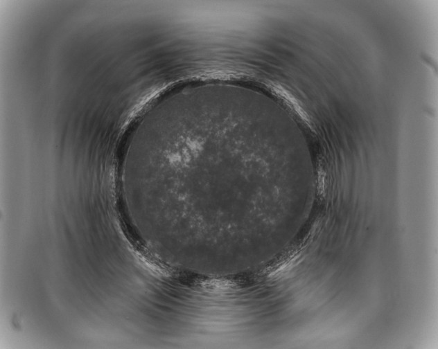 X0000098030444200803281412