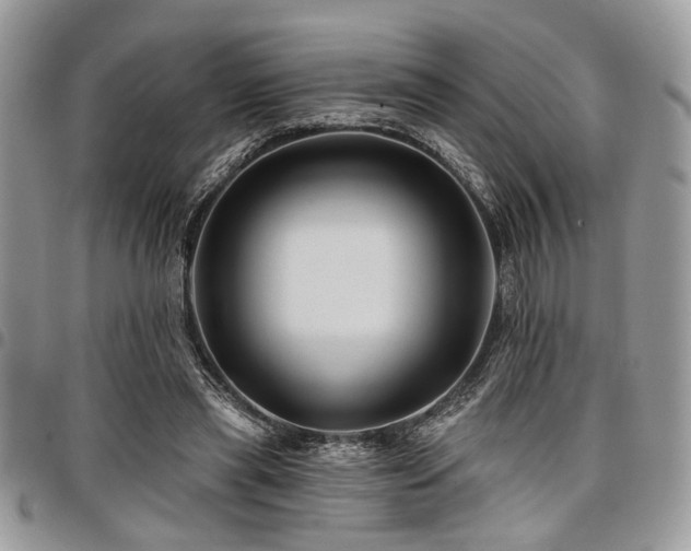 X0000098030445200803281412