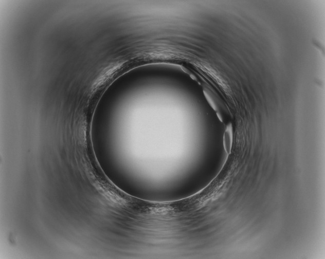 X0000098030446200803281412