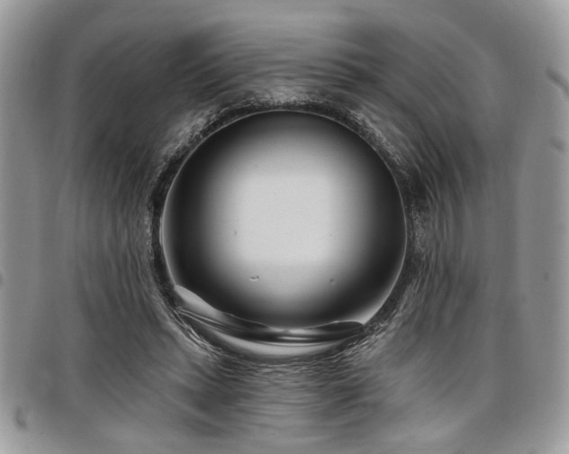 X0000098030447200803281412