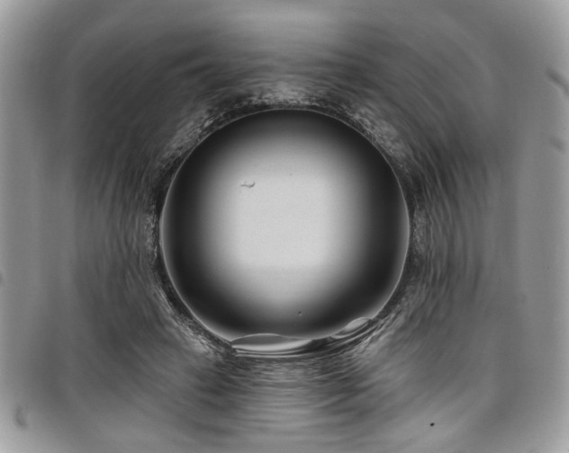 X0000098030449200803281412