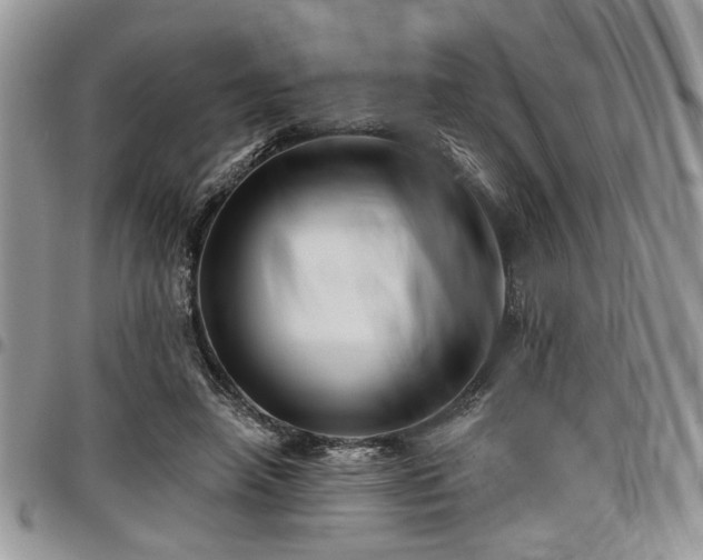 X0000098030450200803281412