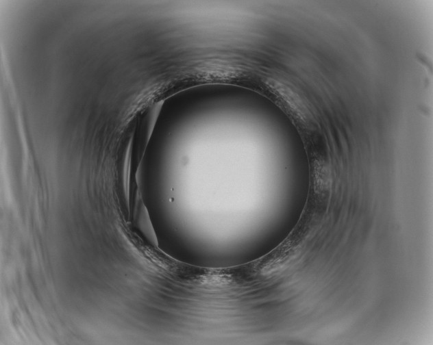 X0000098030451200803281412