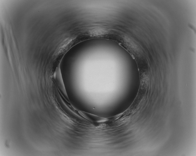 X0000098030452200803281412