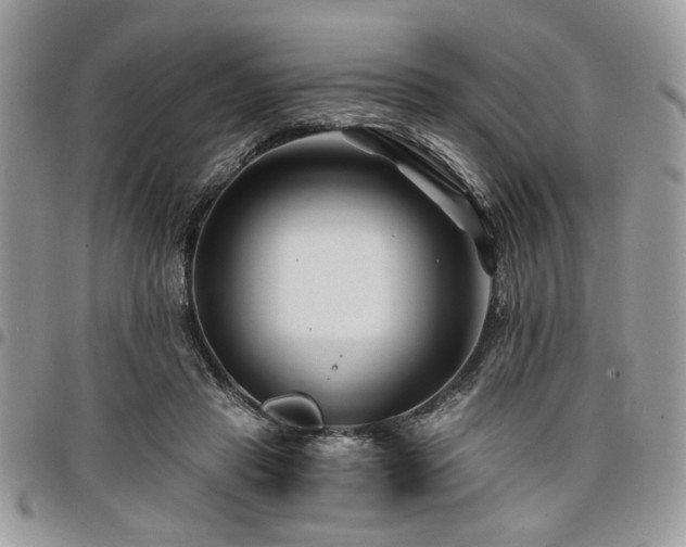 X0000098030453200803281412