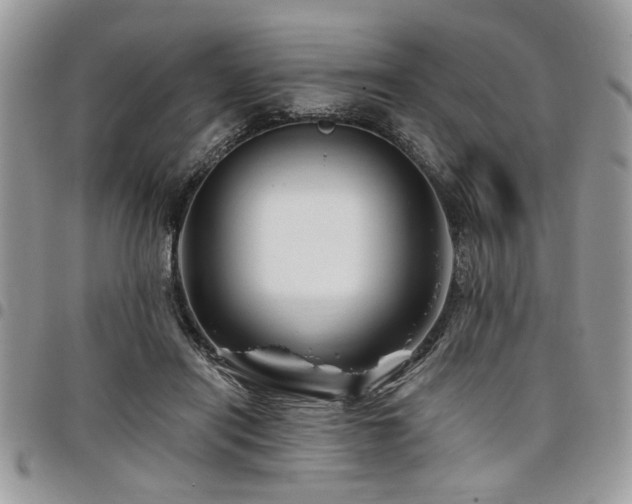 X0000098030454200803281412